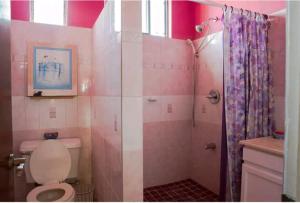 y baño de color rosa con aseo y ducha. en Altare - Breezy with a View, en Grand Anse