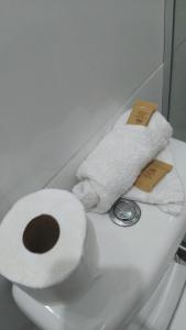 a toilet with a roll of toilet paper on it at Hospedaria Ilhéus 01 in Ilhéus