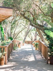a wooden walkway leading to a forest filled with trees at Calamigos Guest Ranch and Beach Club in Malibu