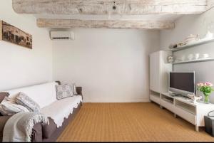 a living room with a couch and a tv at Douceur sur la Sorgue in LʼIsle-sur-la-Sorgue