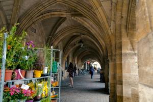 um arco com um monte de plantas em um edifício em La Cloche Studio Hypercentre Mairie em Libourne