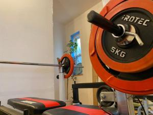 Fitness centrum a/nebo fitness zařízení v ubytování jiro de kamakura