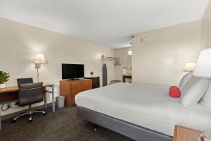a hotel room with a bed and a desk and a tv at Good Nite Inn Buena Park in Buena Park