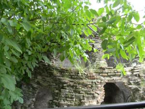 an old brick wall with green leaves on it at Hotel Beni in Akhaltsikhe