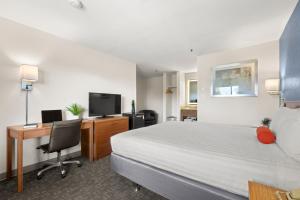 卡馬里奧的住宿－卡馬里奧晚安旅館，酒店客房配有一张床、一张书桌和一台电视。