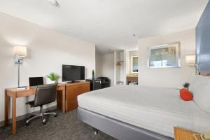 a hotel room with a bed and a desk and a television at Good Nite Inn Camarillo in Camarillo