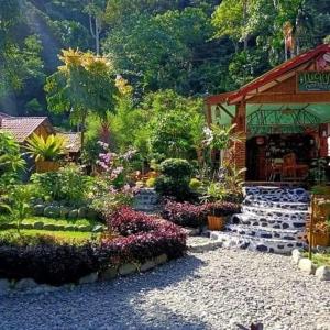 Gallery image of Lucky Bamboo' Bungalows-Resto and OrangUtan Jungle Trekking Tours in Bukit Lawang