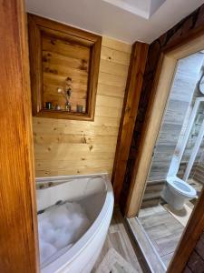 a bathroom with a bath tub and a toilet at Apartmani Vila Vjerra in Žabljak +72 photos