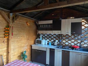 a kitchen with a stove and a microwave in a cabin at Vila Pișcoțel in Schitul