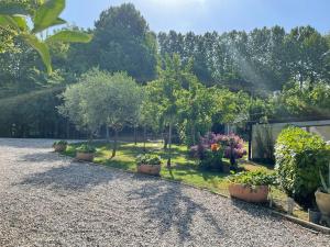 Сад в Casa di Lily - Magnifico Giardino, parcheggio privato e Free Wifi