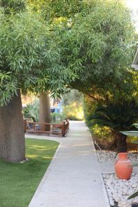a sidewalk in a park with trees and a bench at Morad Haharbel - Boutique Resort in Arbel +64 photos