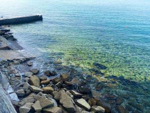 a group of rocks on the shore of the water at Seaside Resort in Trieste