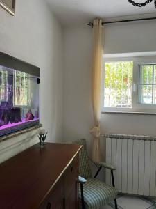 a living room with a fish tank and a chair at Casa Impagliazzo in Ischia