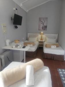 Pokój z 2 łóżkami i umywalką w obiekcie The Old Mill Hotel w mieście Machadodorp