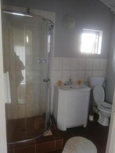 a bathroom with a shower and a sink and a toilet at The Old Mill Hotel in Machadodorp