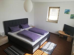 a bedroom with a bed with purple pillows and a television at Ferienwohnung und Sommerhaus unter der Burg in Falkenberg