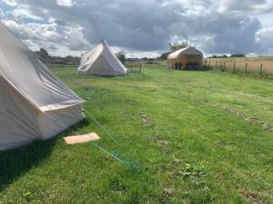 Garden sa labas ng Bankfoot Farm Glamping 3