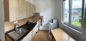 Kuchyň nebo kuchyňský kout v ubytování Apartmán Strážný
