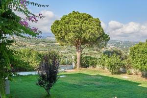 een boom in het midden van een tuin bij Apollon Hotel Apartments in Platanes