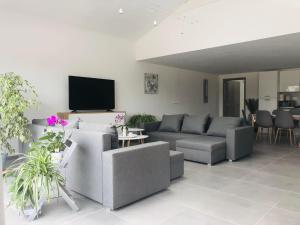 a living room with couches and a flat screen tv at Le Gîte de Golette in Mettet