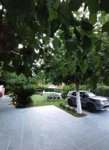 un coche aparcado en un estacionamiento junto a un árbol en Aurora Premium Hospitality en Párga