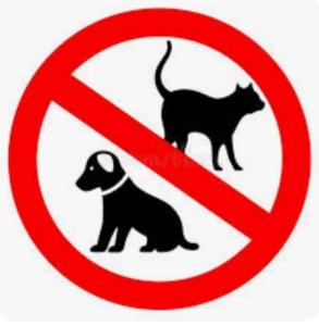 a no dog and cats sign with a black cat em Agriturismo Masseria Cannella em Lesina