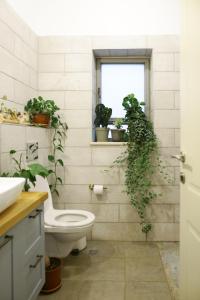 bagno con servizi igienici e piante sul muro di Our Mount Meron Orchard - your perfect getaway a Tsiv'on