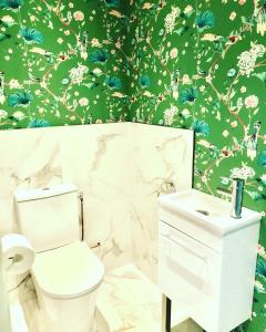 a bathroom with a toilet and a green wall at L'Hotel de Hercé Chambre d'Hote in Mayenne