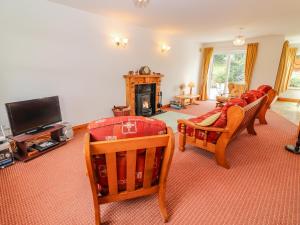 ein Wohnzimmer mit Stühlen, einem TV und einem Kamin in der Unterkunft Meadow View in Nenagh