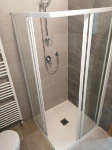 a shower with a glass door in a bathroom at RESIDENZA CADORINA in Calalzo