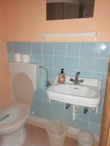 a bathroom with a sink and a toilet at Smučarska koča in Kotlje