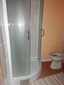 een douche in een badkamer met een toilet bij Smučarska koča in Kotlje