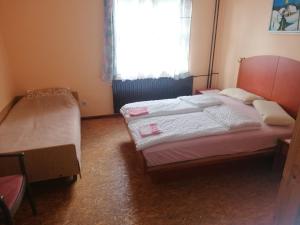 Kotlje的住宿－Smučarska koča，一间卧室设有两张床和窗户。