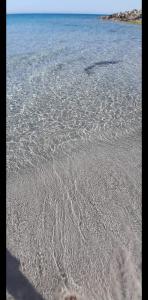 un cuerpo de agua con huellas en la arena en L'Hirondelle de Kelibia : Chez Amou en Kelibia