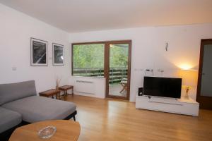 TV a/nebo společenská místnost v ubytování Apartment Vera Kranjska Gora