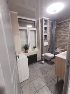 bagno con lavandino, servizi igienici e finestra di Appartement au coeur de Calais a Calais