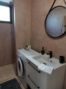 uma casa de banho com um lavatório e uma máquina de lavar roupa em Studio en campagne em Avignon