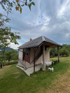a small building with a dog standing in the grass at Seoska kuća Jela in Nova Varoš