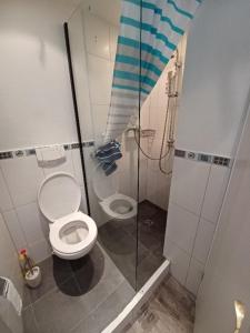 a bathroom with a toilet and a glass shower at Felsenkeller - Brauerei in Monschau