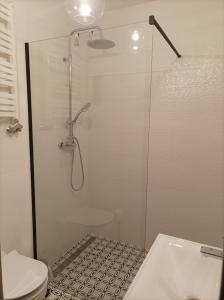 a bathroom with a glass shower with a toilet at Słoneczna Dziesiątka in Solec-Zdrój