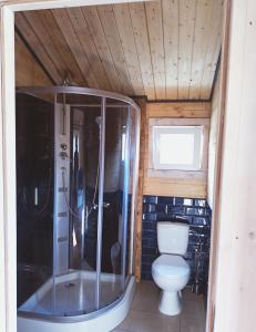 a small bathroom with a toilet and a shower at Agroturystyka Jeleń in Jeleń +17 photos