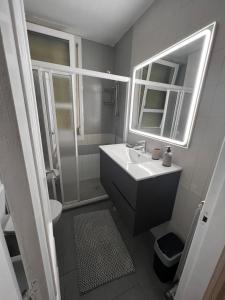 a bathroom with a sink and a shower and a mirror at Apartamento Elena Tour in Logroño