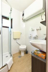 a bathroom with a toilet and a sink and a shower at Mate i Jaga in Saborsko +128 photos