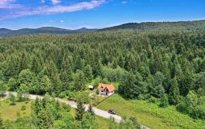 an aerial view of a house in the middle of a forest at Mate i Jaga in Saborsko