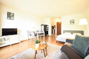 Et tv og/eller underholdning på Charming and comfortable studio ideally located in Saillon