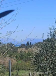 a view of the hills from a field at CORFU OASIS studio in Neochorákion