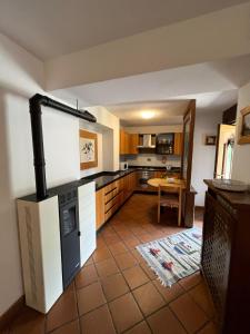 a kitchen with a stove and a table in it at DOLOMITI HOUSE STUBE in Fiera di Primiero