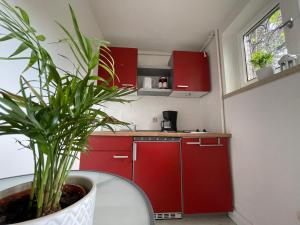 een keuken met rode kasten en een potplant bij Ferienwohnung Heidis Heidehaus in Schneverdingen