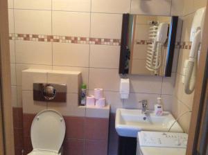 a small bathroom with a toilet and a sink at Apartament studio in Zakopane