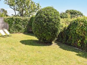 a couple of large bushes in a yard at Top Deck - Ancient Fishing Village - Near to the Beach! in Gorran Haven
